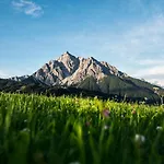 Almrausch Neustift im Stubaital