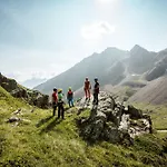 Almrausch Neustift im Stubaital