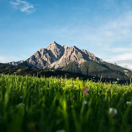 Almrausch Neustift im Stubaital