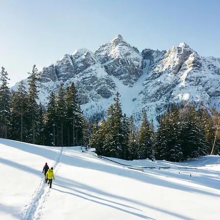 Almrausch 3* Neustift im Stubaital
