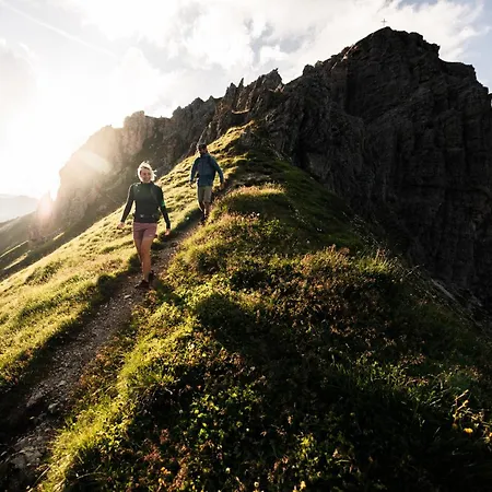 Almrausch Neustift im Stubaital